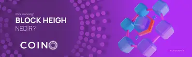 Block Height (Blok Yüksekliği) Nedir?